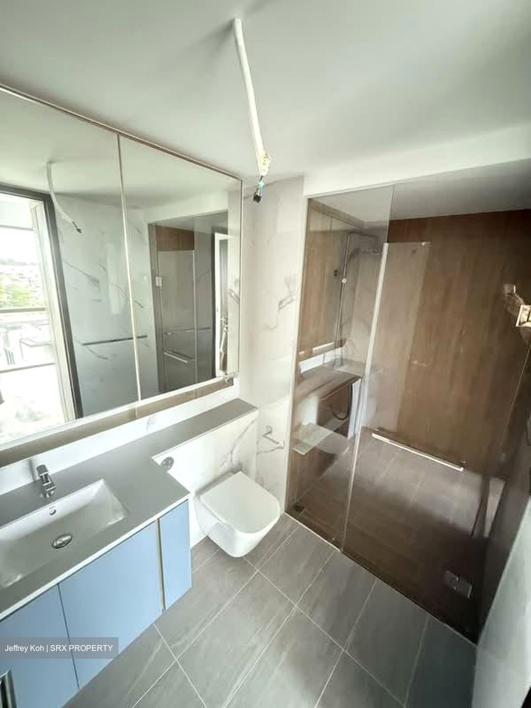 Amo Residence (D20), Apartment #543490151